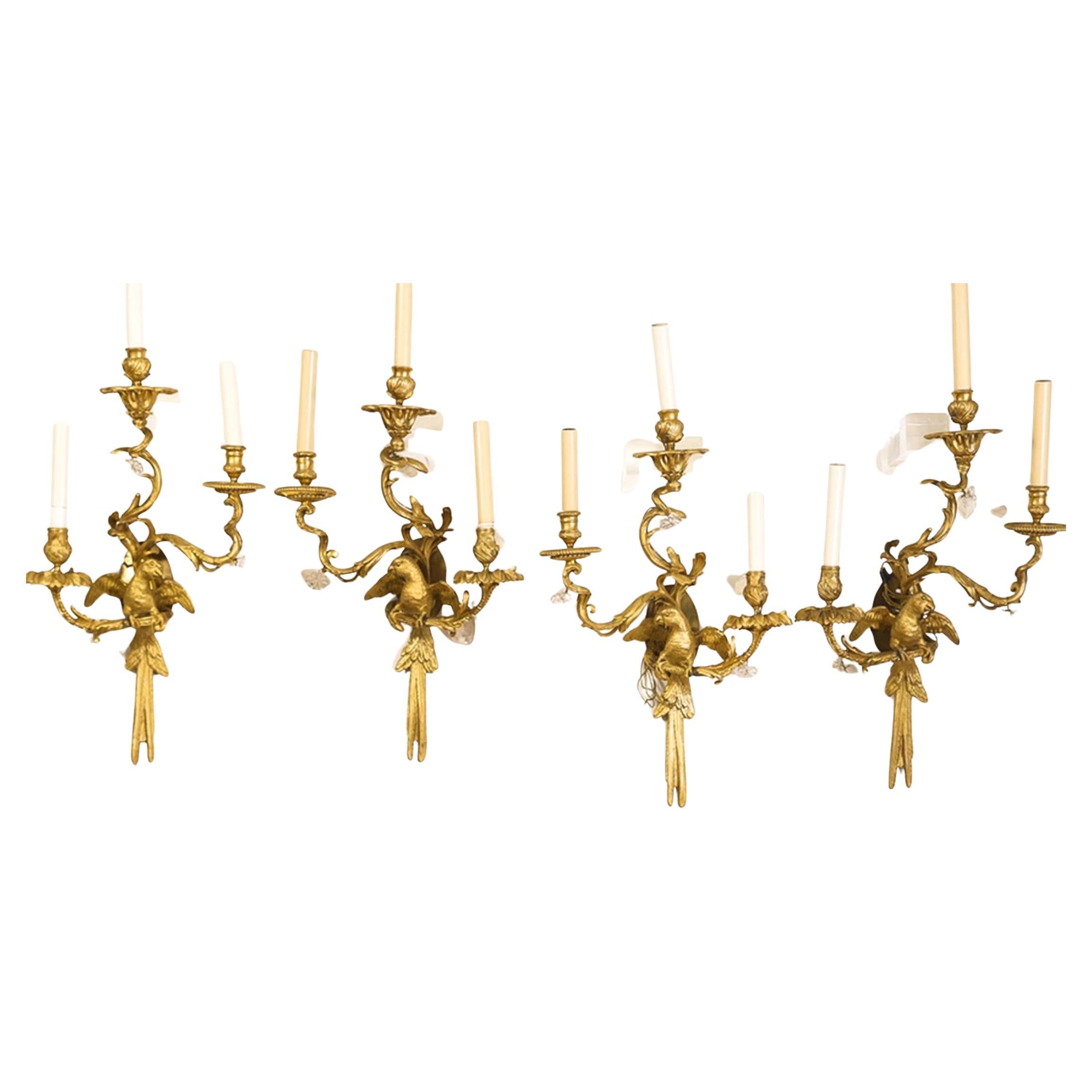 Four Rococo Style Gilt Bronze Three Light Parrot Sconces