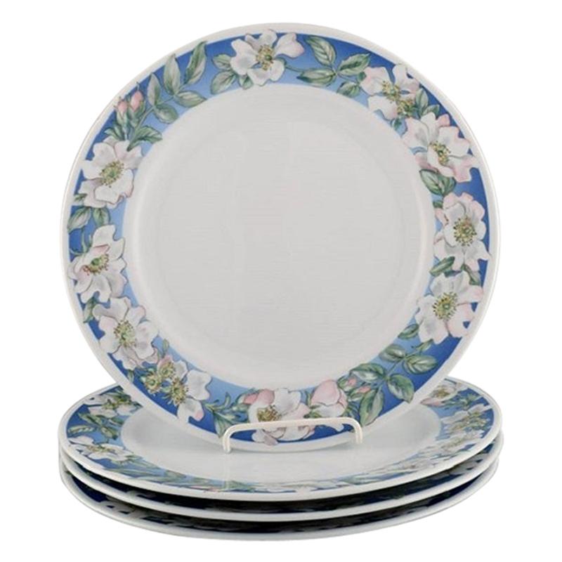 Four Royal Copenhagen White Rose Dinner Plates with Blue Border, White Flowers