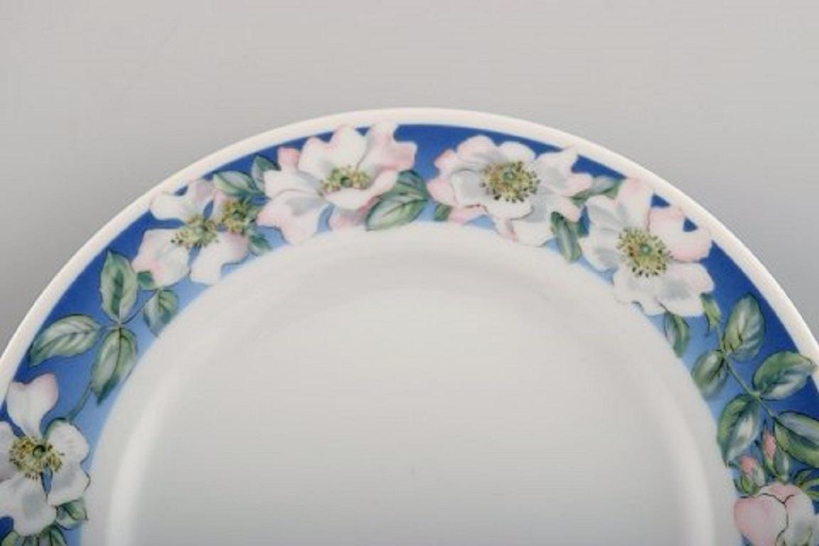 Danish Four Royal Copenhagen White Rose Plates with Blue Border and White Flowers For Sale