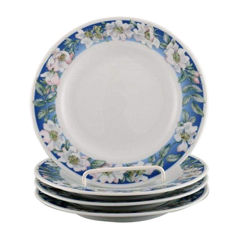 Four Royal Copenhagen White Rose Plates with Blue Border and White Flowers