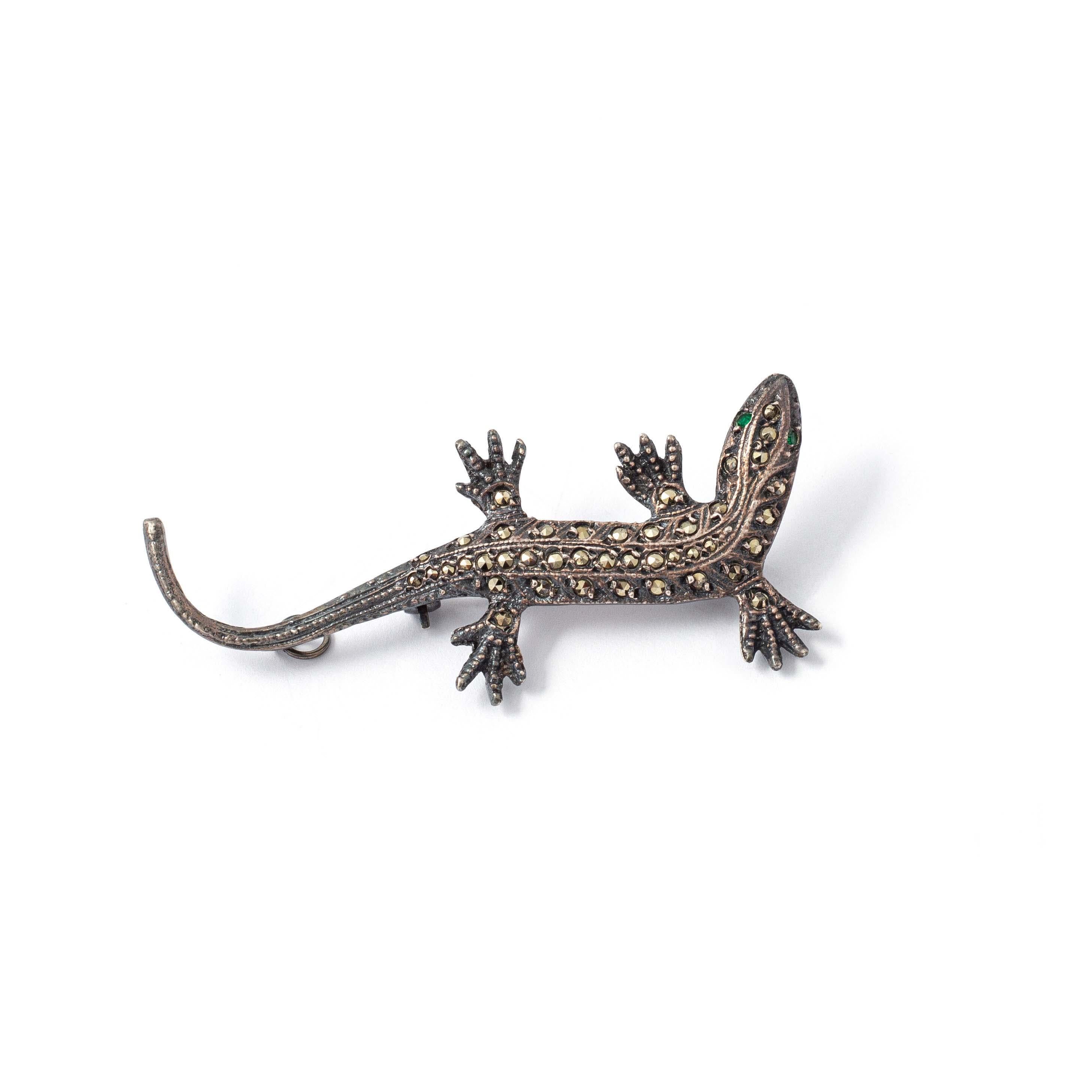 silver salamander