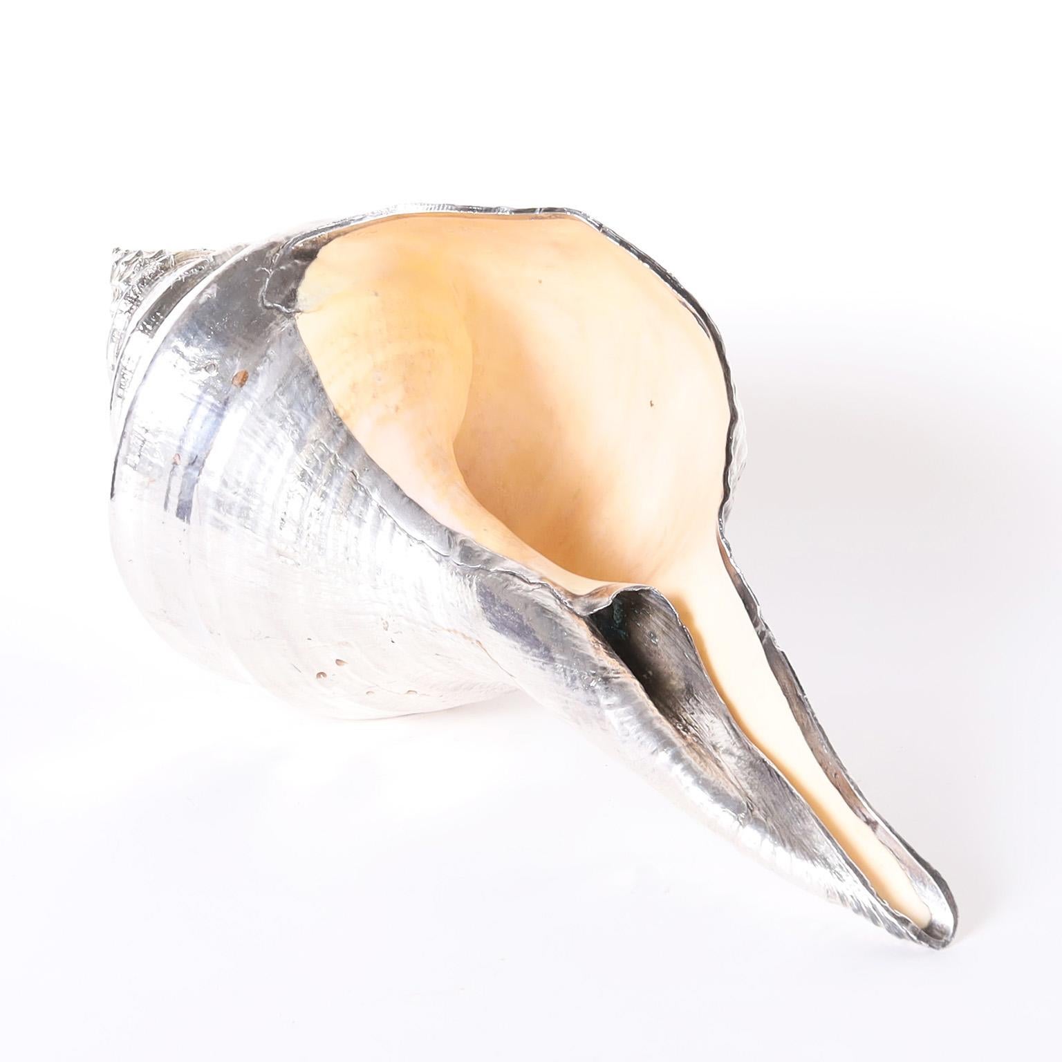 Mid-Century Modern Four Silvered Metal Plated Seashells, Priced Individually