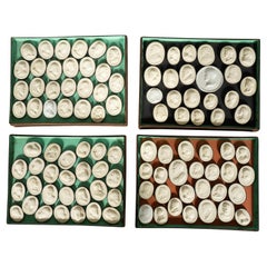 Four Trays Of Italian Grand Tour Plaster Intaglios