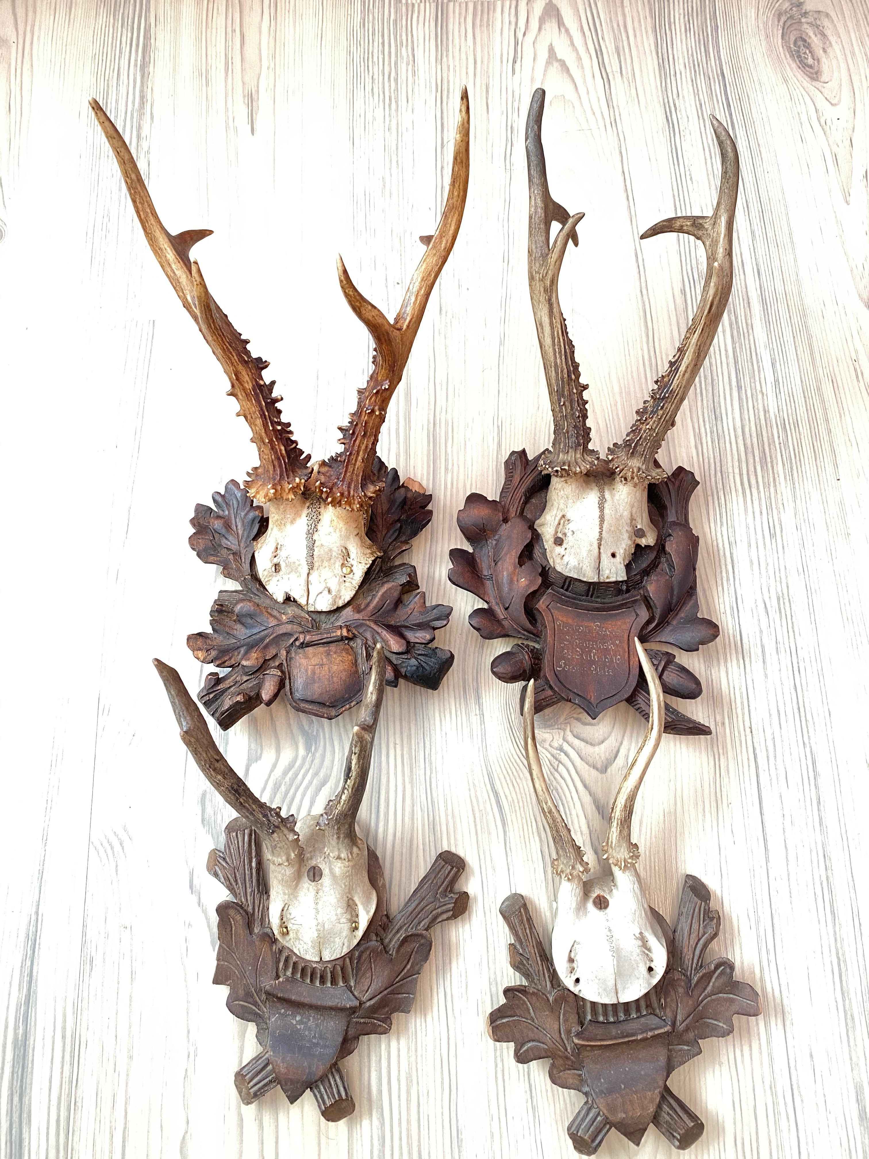 A set of four vintage Black Forest deer antler trophies on hand carved, Black Forest wooden plaques. Tallest is approximate 14 3/8
