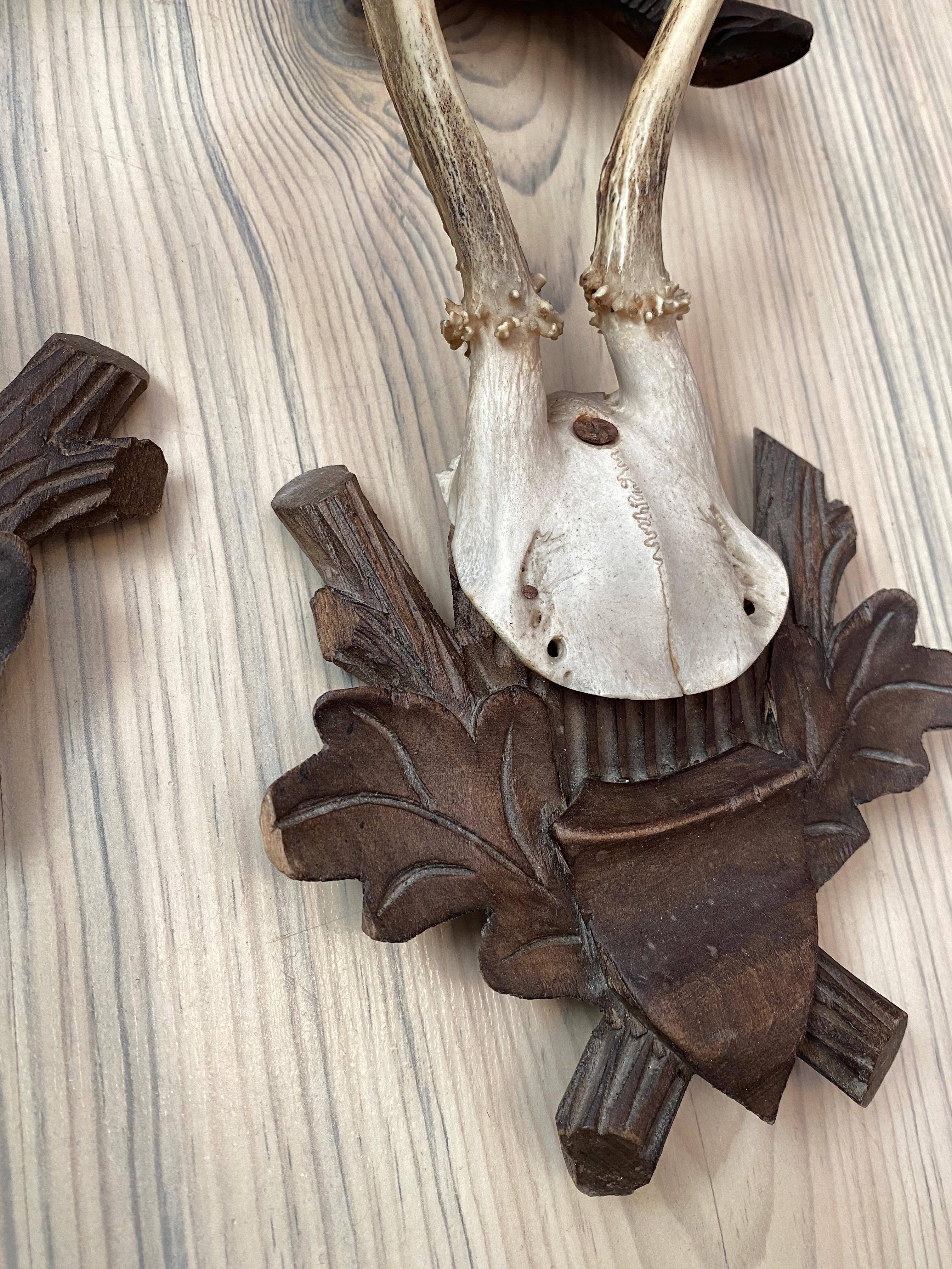 Hand-Carved Four Vintage Black Forest Deer Antler Trophies, Wood Carved Plaque, Austria