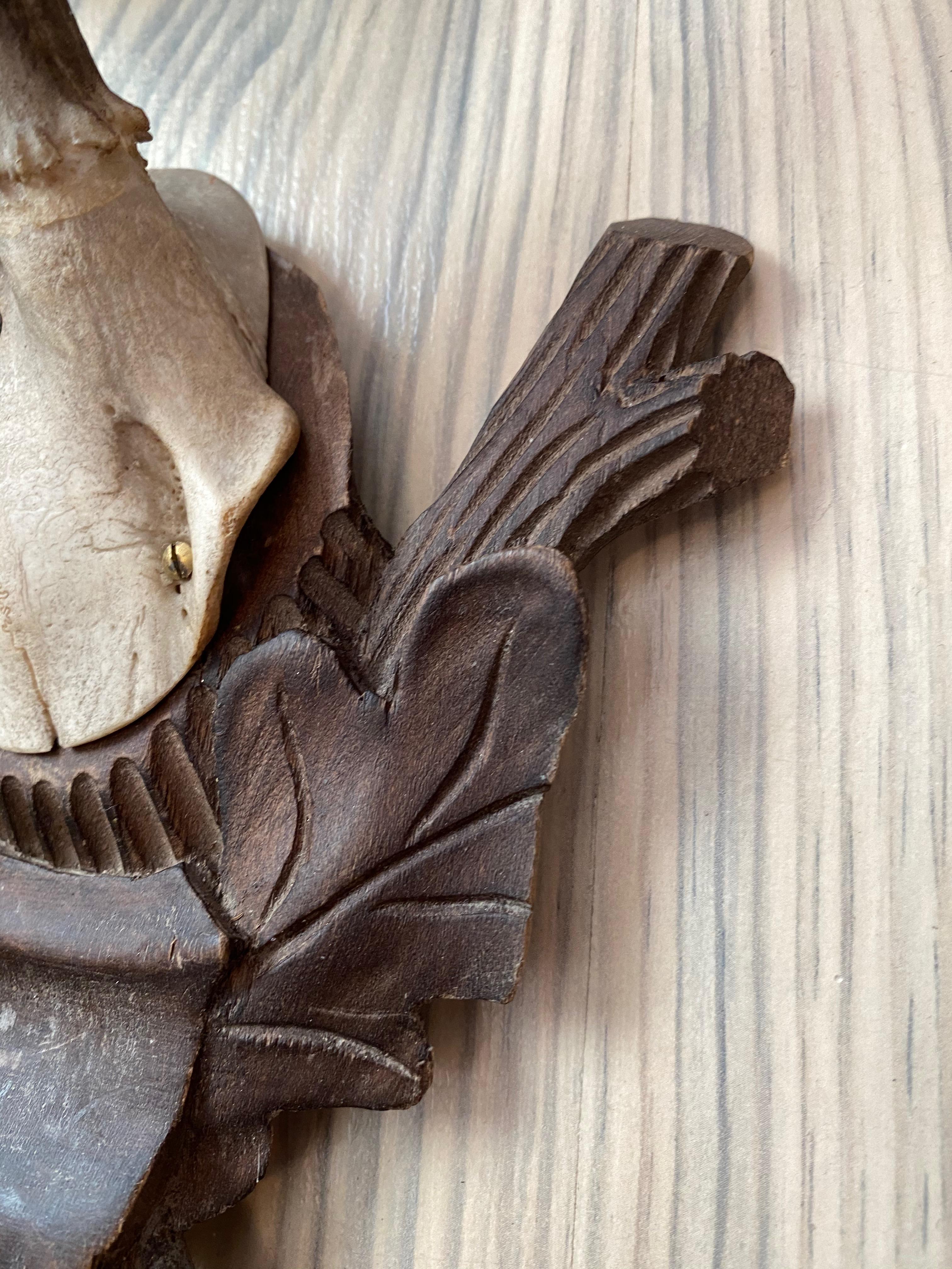 Four Vintage Black Forest Deer Antler Trophies, Wood Carved Plaque, Austria In Fair Condition In Nuernberg, DE