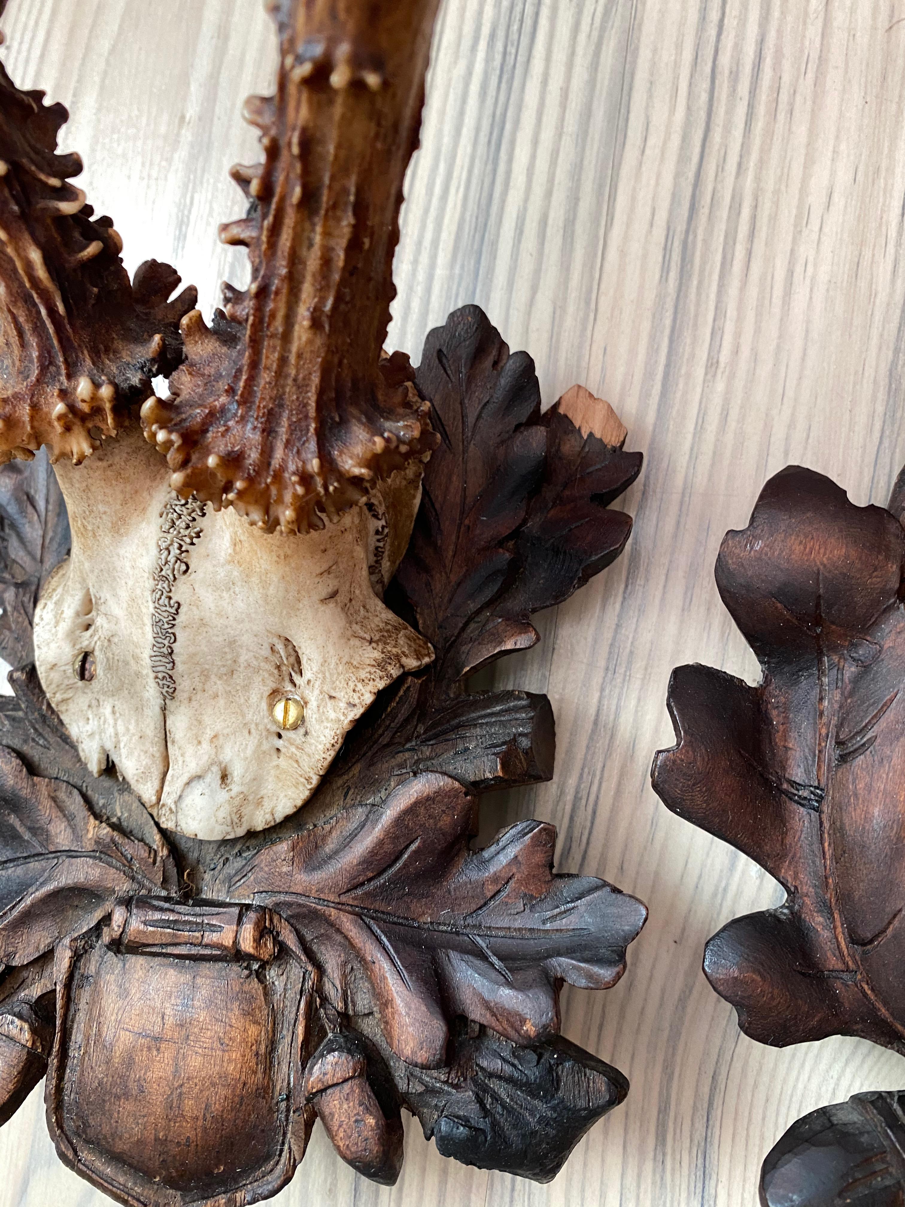Four Vintage Black Forest Deer Antler Trophies, Wood Carved Plaque, Austria 1