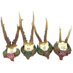 Four Vintage Black Forest Deer Antler Trophies, Wood Carved Plaque, Austria