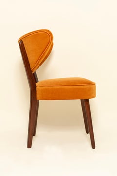 Four Vintola Dining Chairs, Ginger Velvet, Walnut Wood, Vintola Studio
