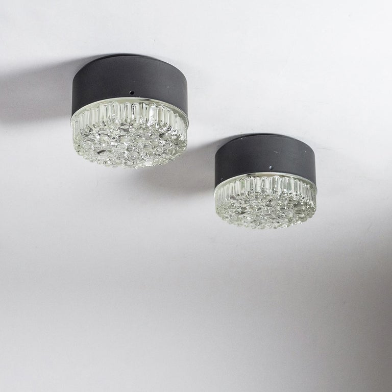 Bubble glass flush mounts or wall lights by Staff, 1960s. Heavily textured glass diffuser with 'bubbles' of varying sizes attached to a dark grey lacquered metal base. One E14 socket per light with new wiring. Priced and sold as a set of four.