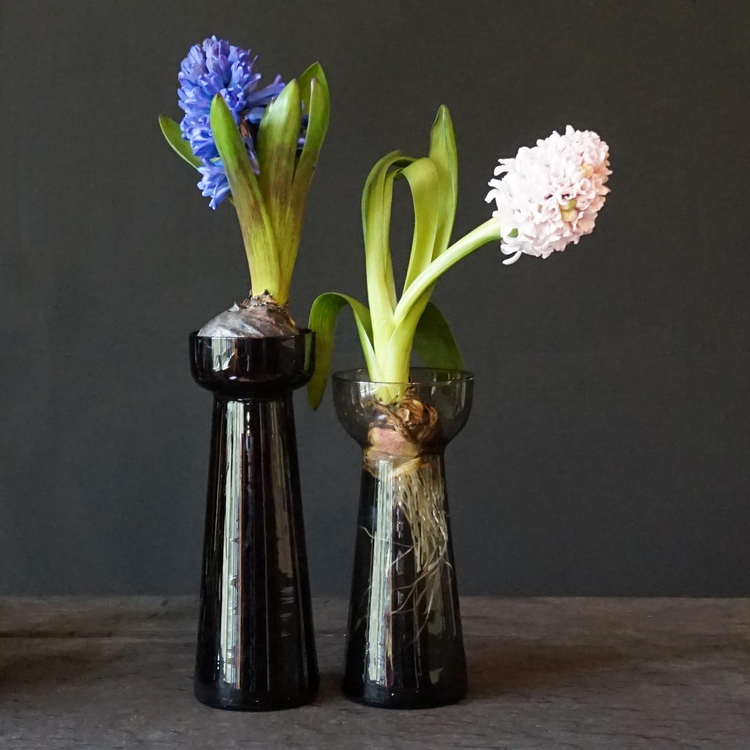 Fourteen Dutch 1960s Leerdam for Rimac Hyacinth Flower Crocus Bulb Glass Vases 4