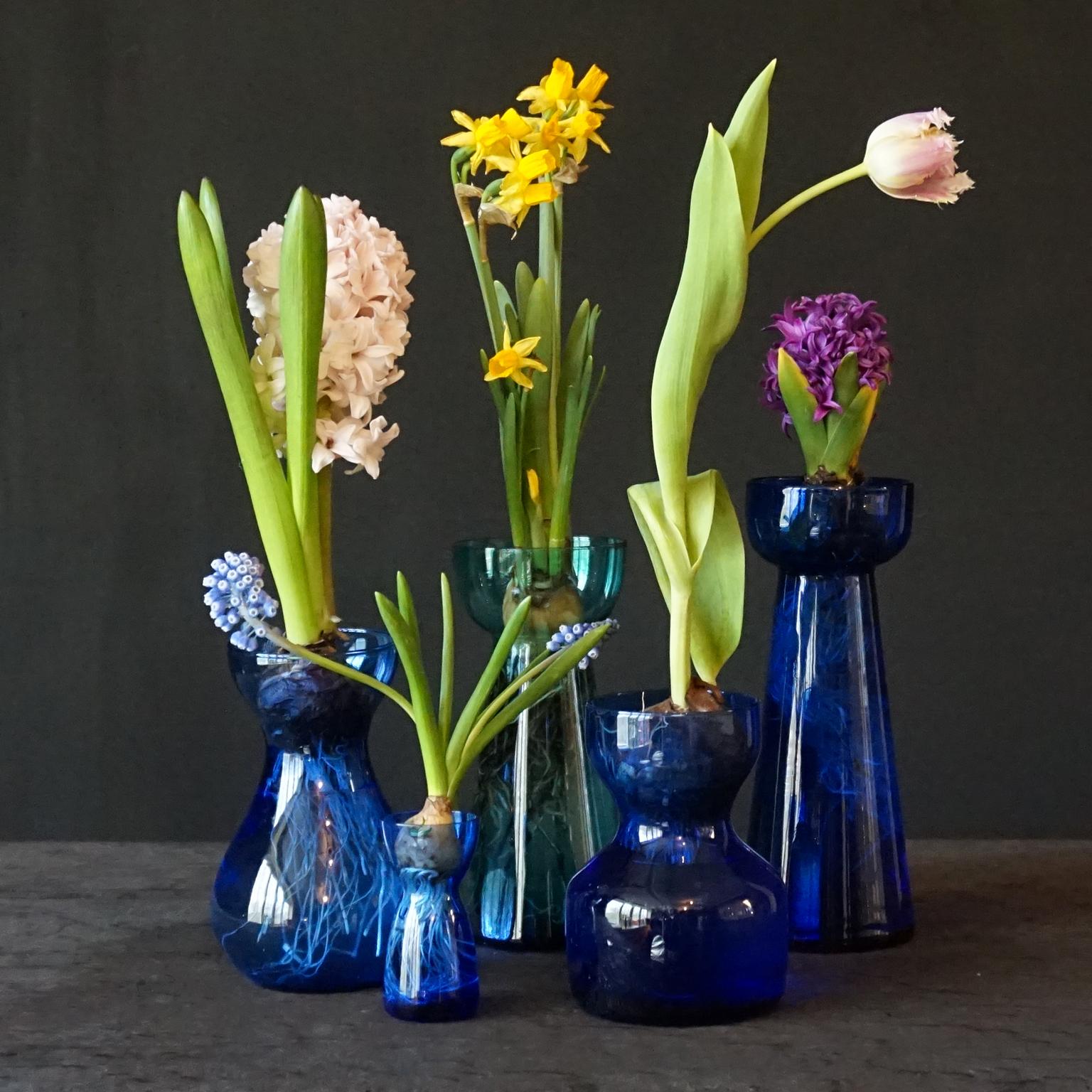 Fourteen Dutch 1960s Leerdam for Rimac Hyacinth Flower Crocus Bulb Glass Vases 8