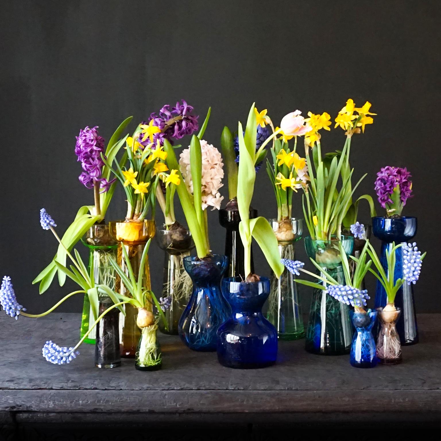 14 large 1950s-1960s flower bulb hyacinth, daffodil, tulip and crocus vases.
All clear blown glass by Leerdam for Rimac Baarn. 
Two of the greenish yellow ones are actually vaseline (or uranium) glass.

Purple 'Jolly' 21cm high, Ø 7cm