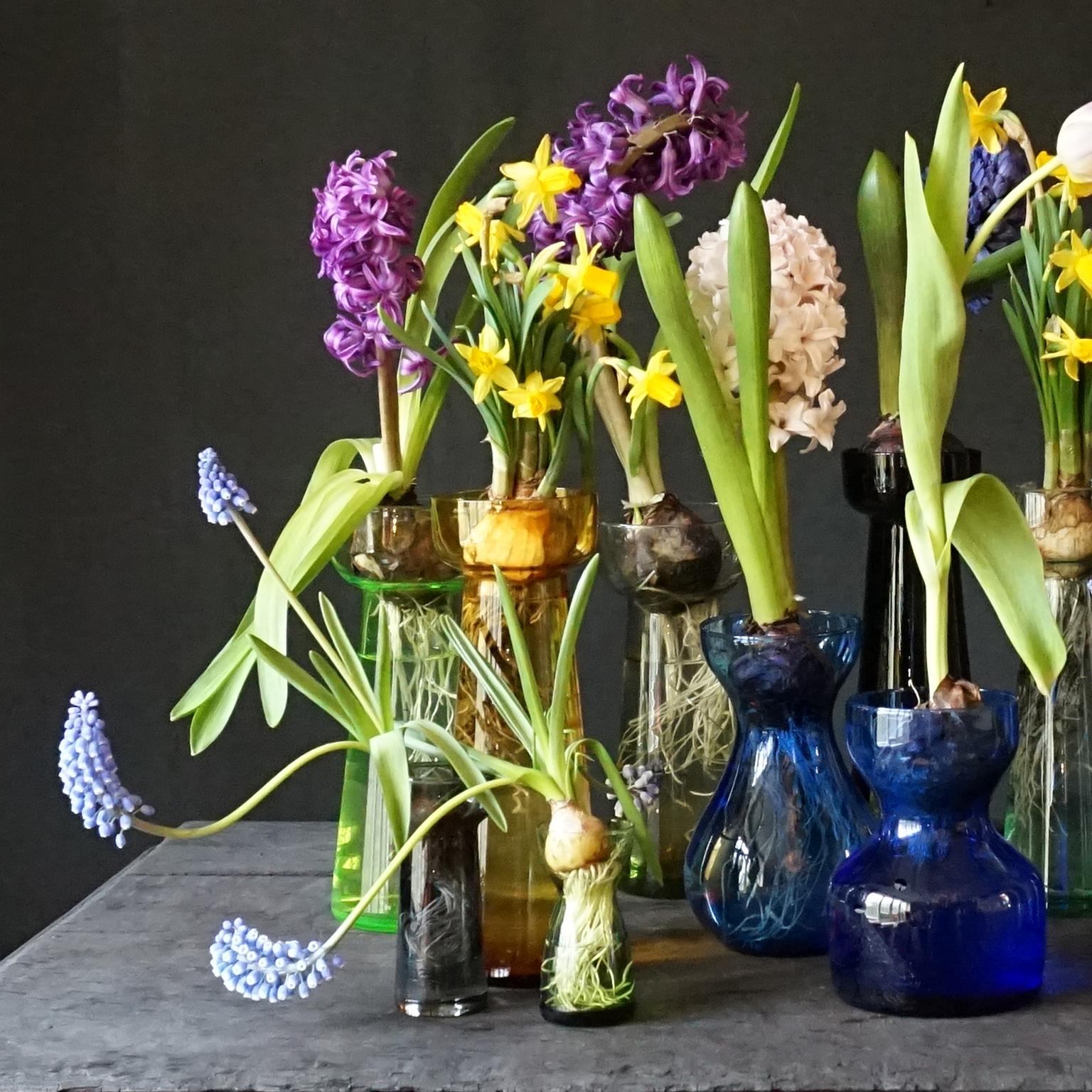Fourteen Dutch 1960s Leerdam for Rimac Hyacinth Flower Crocus Bulb Glass Vases In Good Condition In Haarlem, NL
