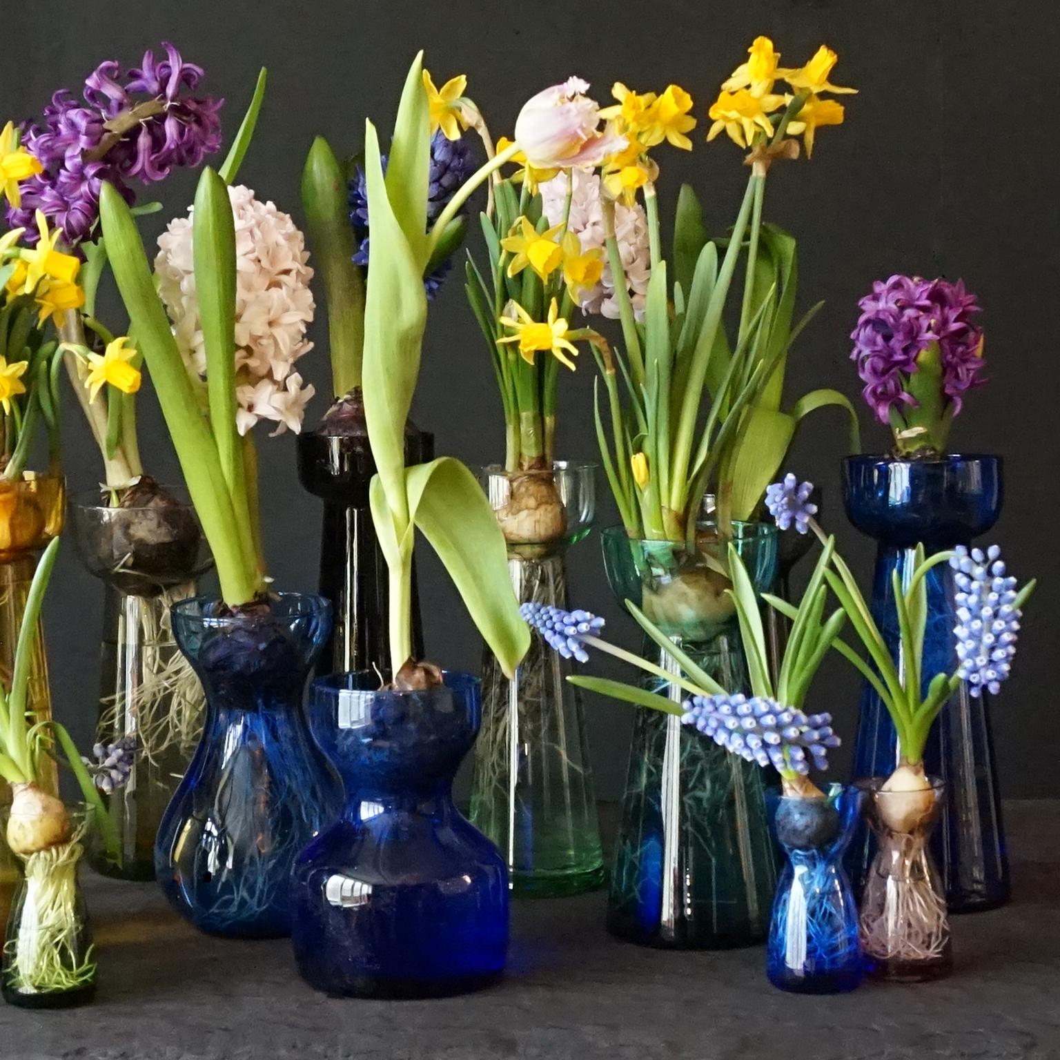 Fourteen Dutch 1960s Leerdam for Rimac Hyacinth Flower Crocus Bulb Glass Vases 2