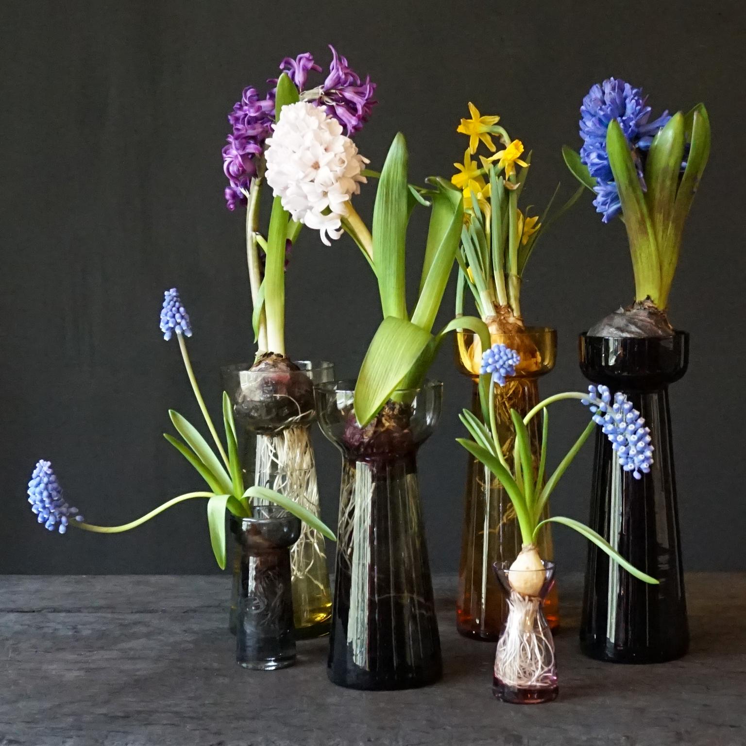 Fourteen Dutch 1960s Leerdam for Rimac Hyacinth Flower Crocus Bulb Glass Vases 3