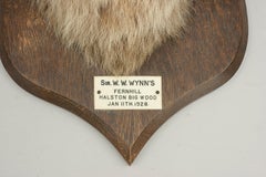 Fox Mask, Taxidermy by Peter Spicer of Royal Leamington Spa