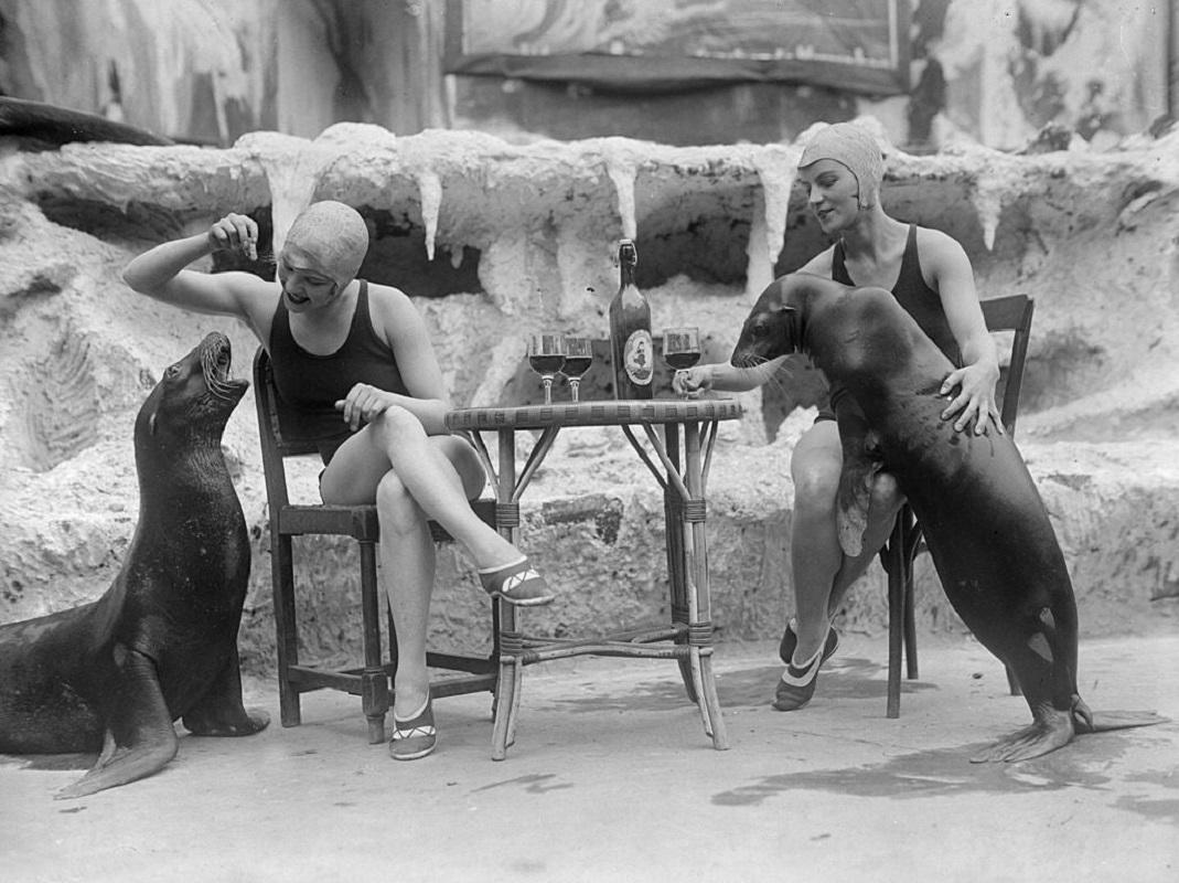 "Animal Friends" by Fox Photos

15th July 1931: Two women in bathing suits share a snack with a couple of sea lions during a display in Paris.

Unframed
Paper Size: 30" x 40'' (inches)
Printed 2022 
Silver Gelatin Fibre Print