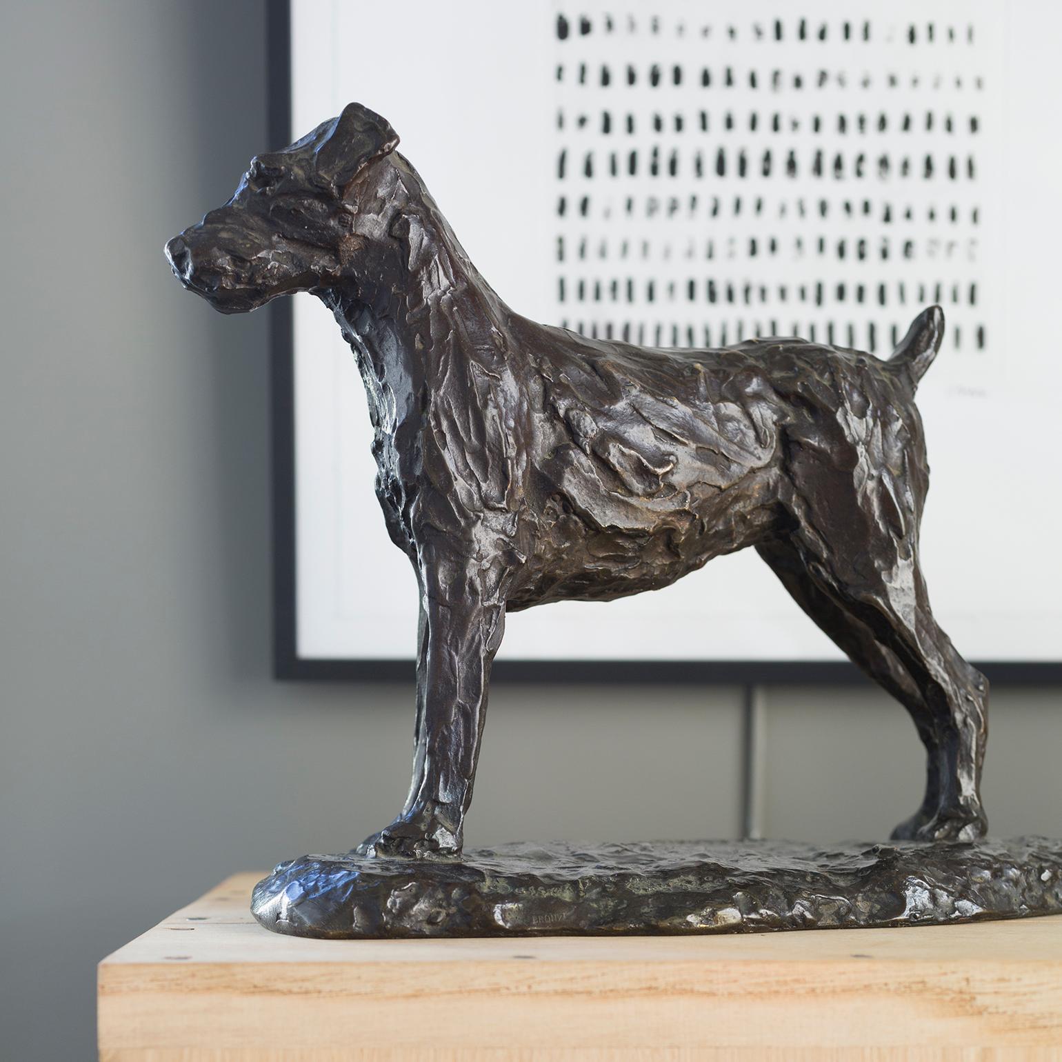 This statuette represents a fox terrier on its base, in his « natural » position. It was made by Malcolm James Mac Kenzie, in chased and patinated bronze.

This bronze has the signatures « MA. MACKENZIE » and « Susse Frères Éditeurs Paris/Bronze