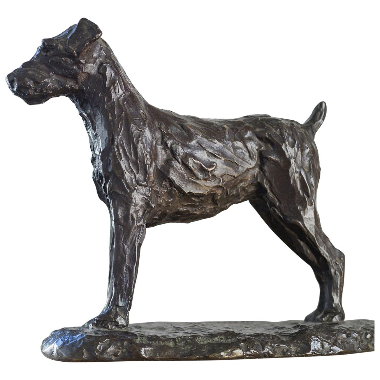 Fox Terrier 'dog', Malcolm James Mac Kenzie