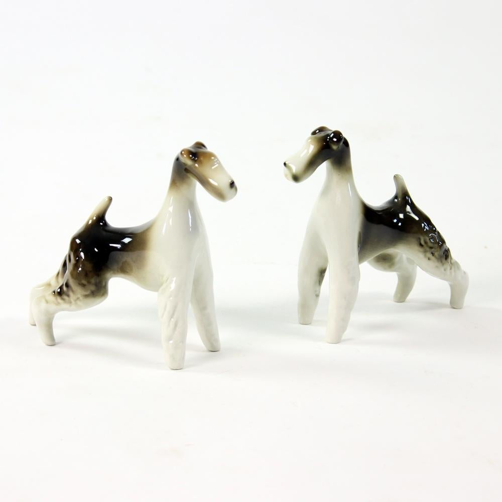 Amazing, striking and very elegant set of two sculptures of Foxterriers. Put together as a set, the sculptures work as a great and bold statement. Very elegant representation of the Foxterrier breed with striking details and clever, sharp look of a