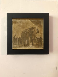 Bingo the Circus Elephant  circus series enchanting daguerreotype reproduction