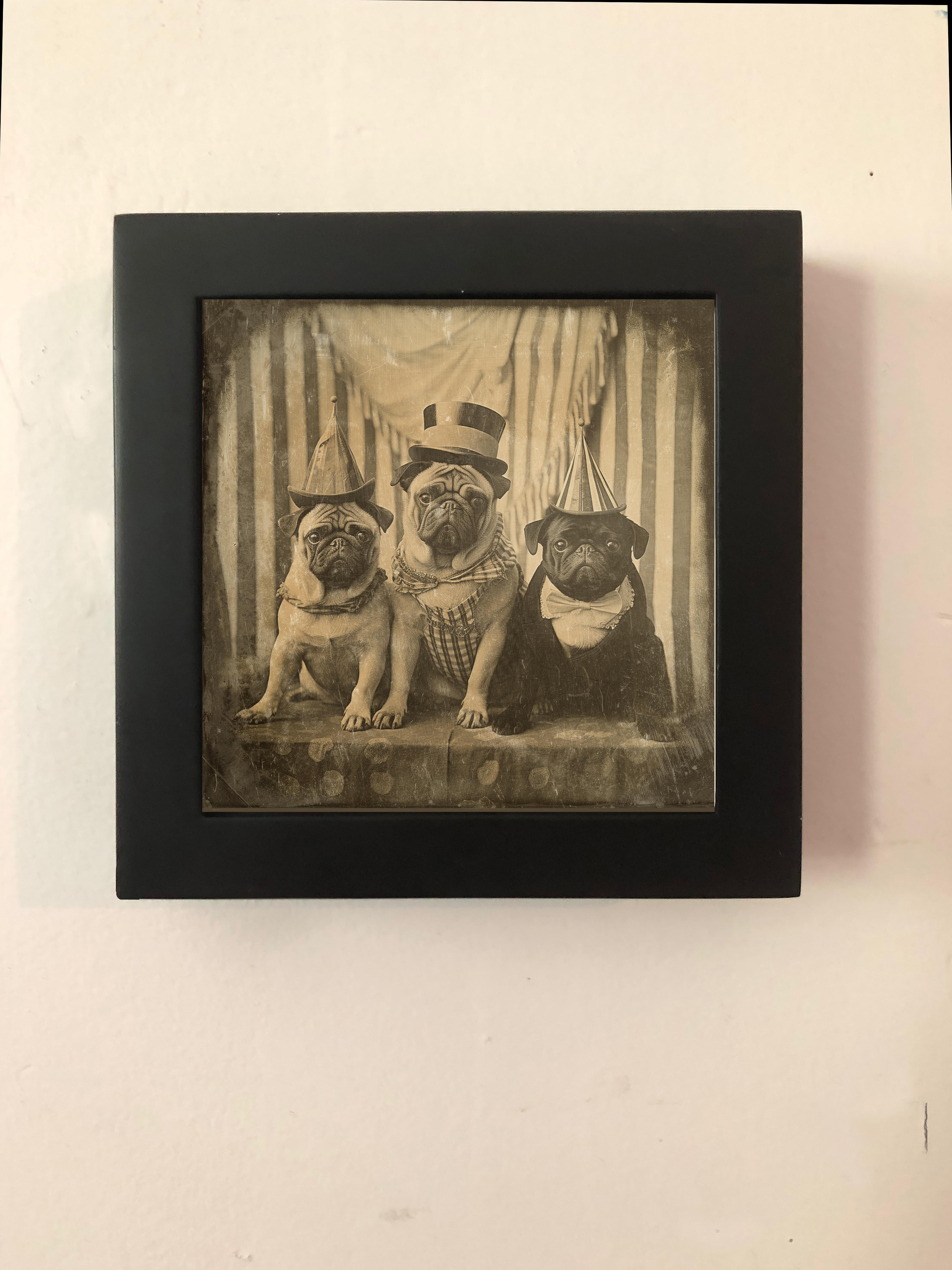 Three Circus Pugs - enchanting exotic daguerreotype reproduction Framed - Brown Figurative Photograph by FPA Francis Pavy Artist