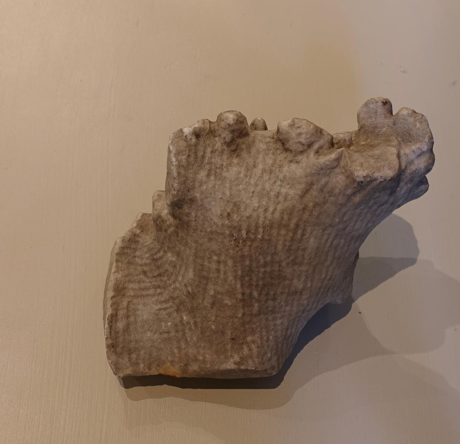 Renaissance Fragment des armoiries de la famille Della Rovere - 16e siècle