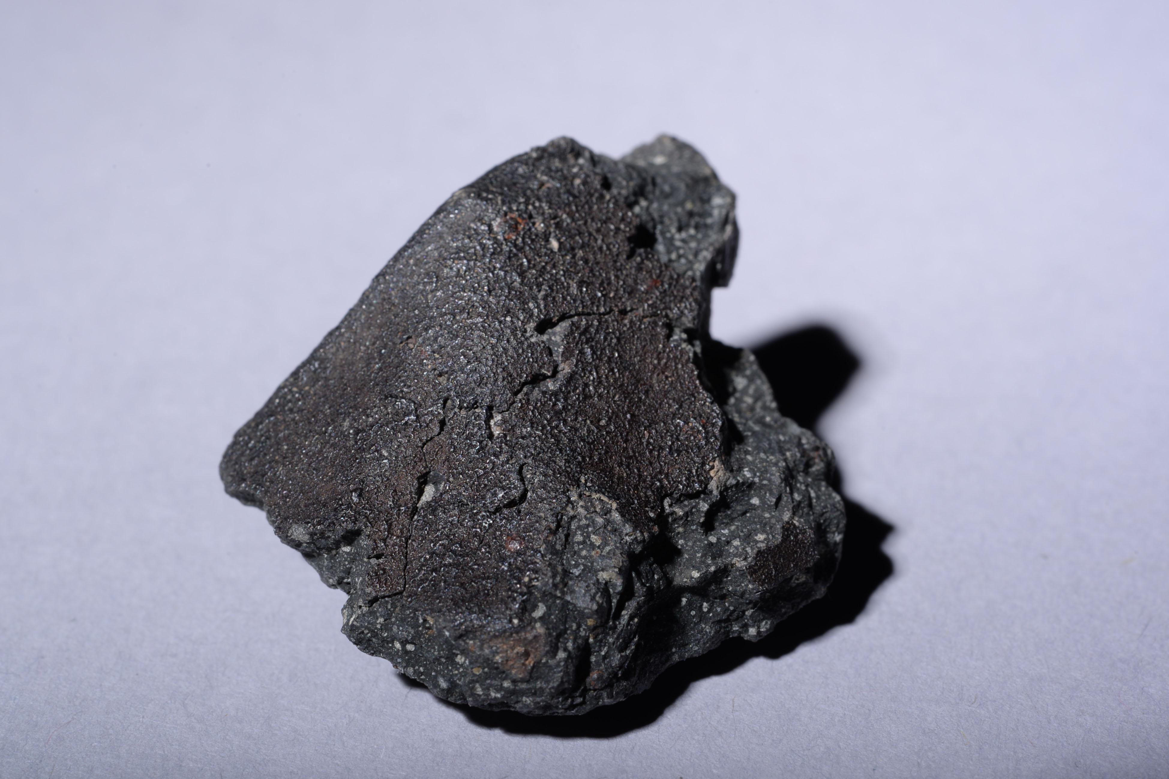 murchison meteorite murchison meteorite