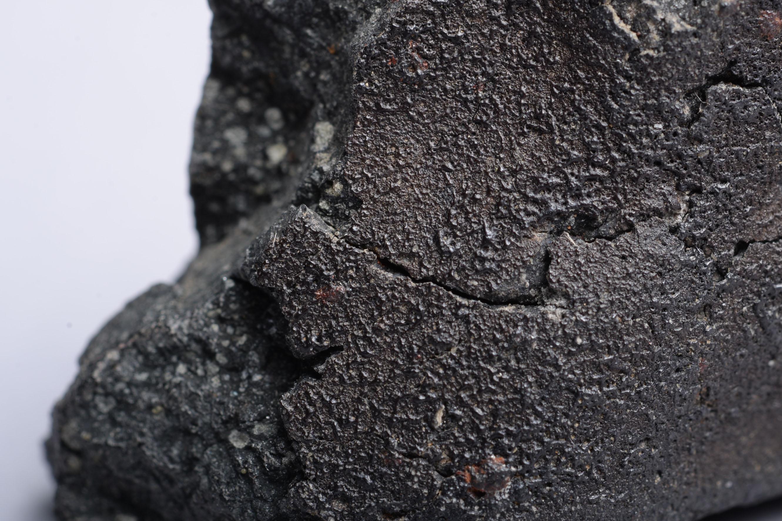 Australian Fragment of the Famous Murchison Meteorite