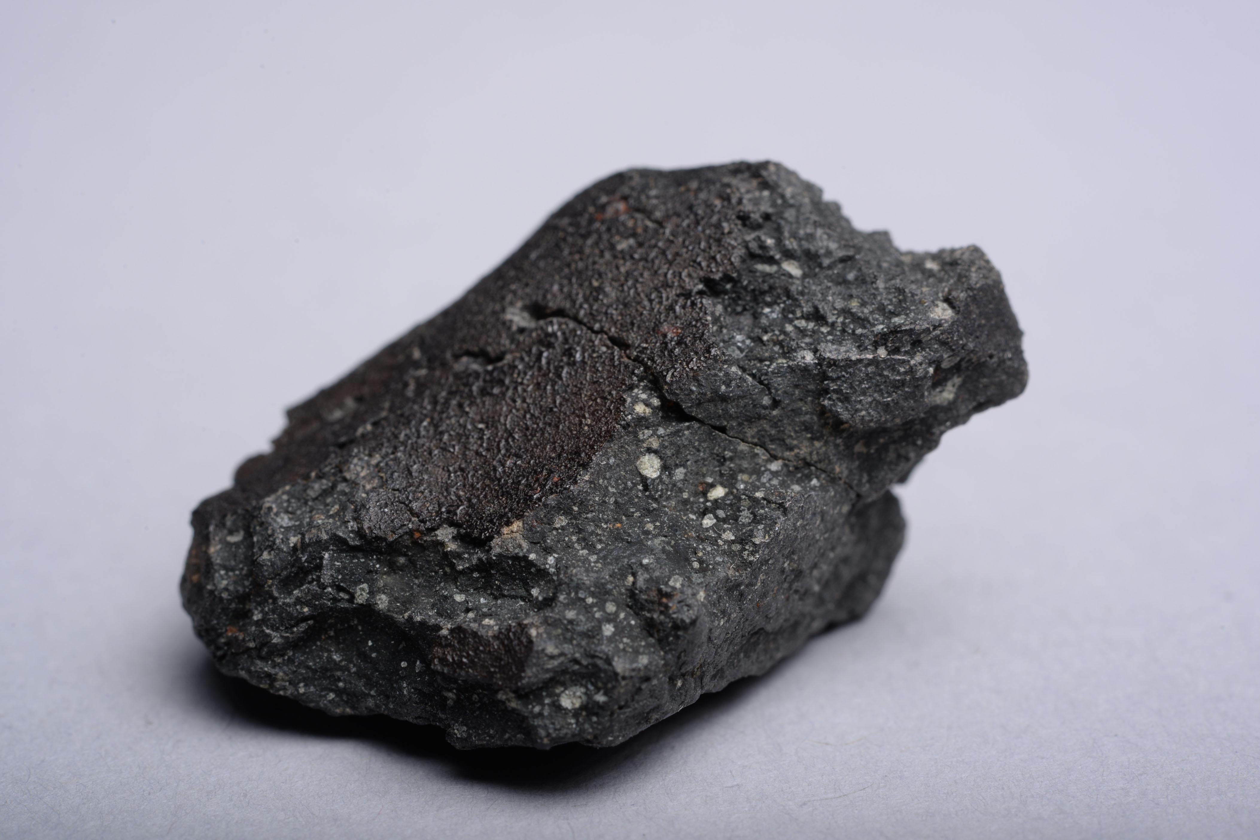 18th Century and Earlier Fragment of the Famous Murchison Meteorite