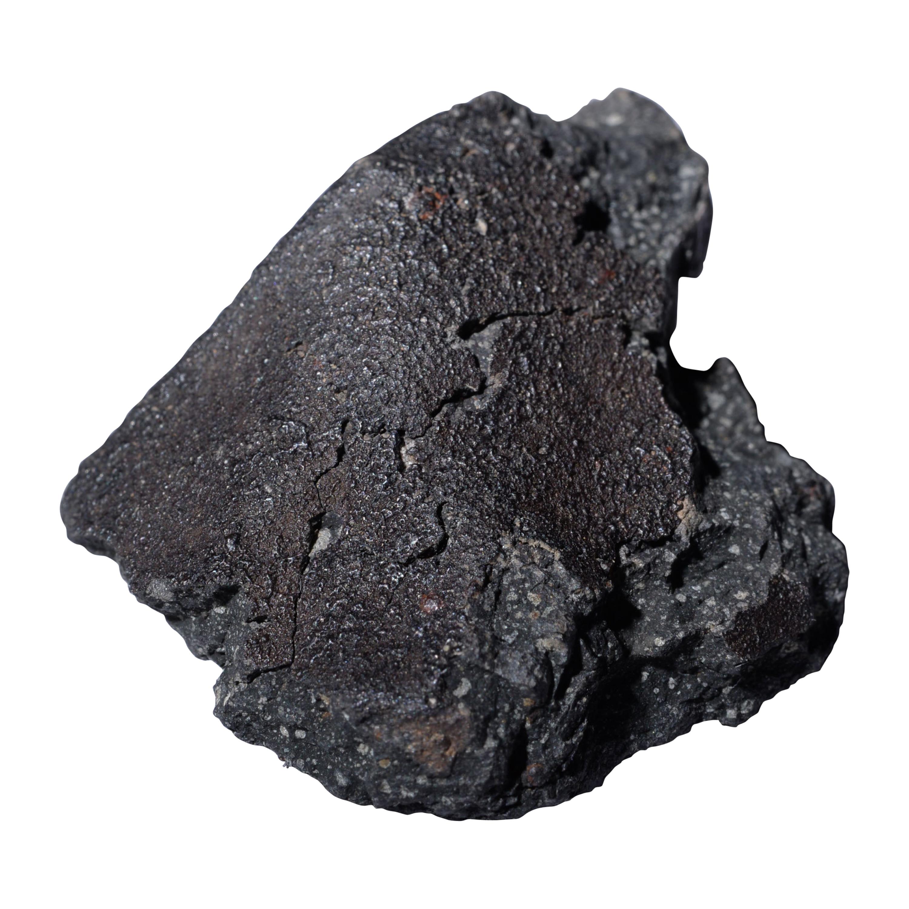 Fragment of the Famous Murchison Meteorite