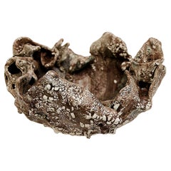 Fragments de bol ancien Brown