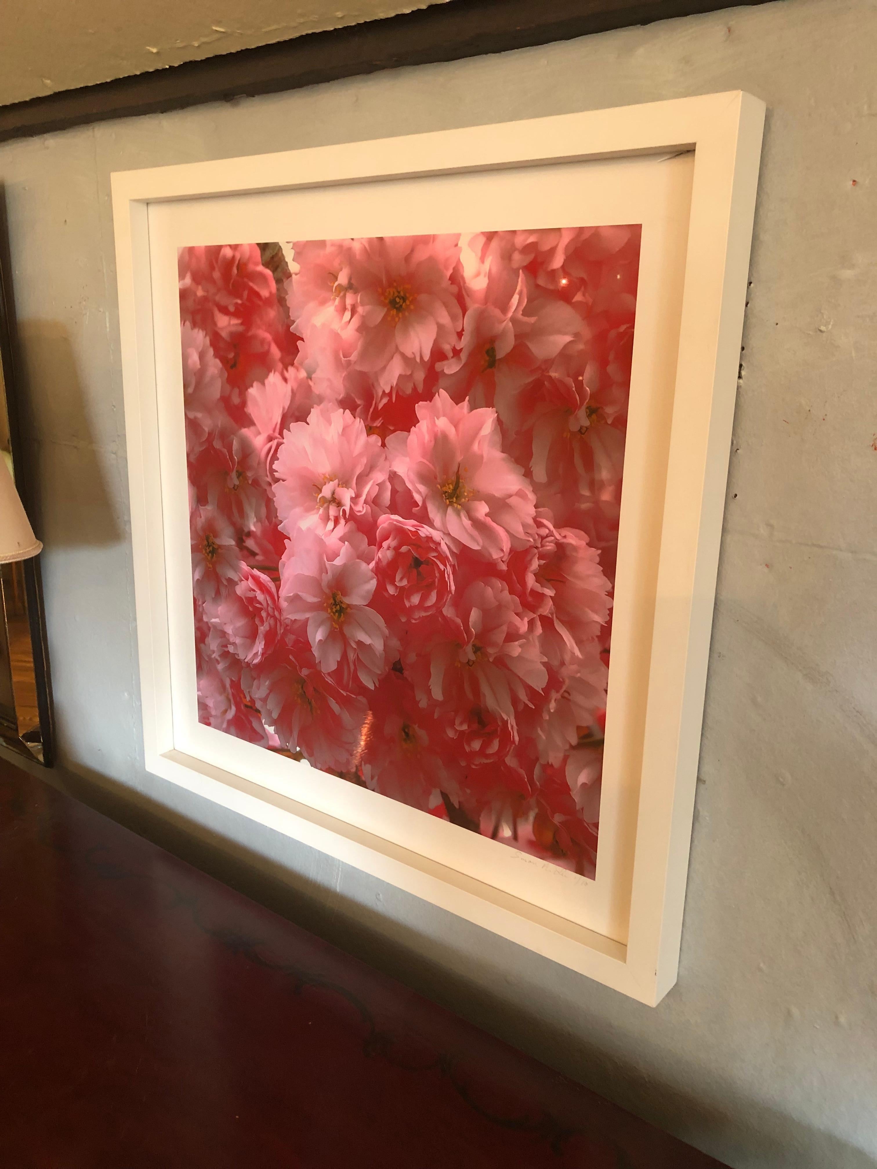 Paper Fragrant Limited Edition High Rez Art Photograph of Cherry Blossoms For Sale