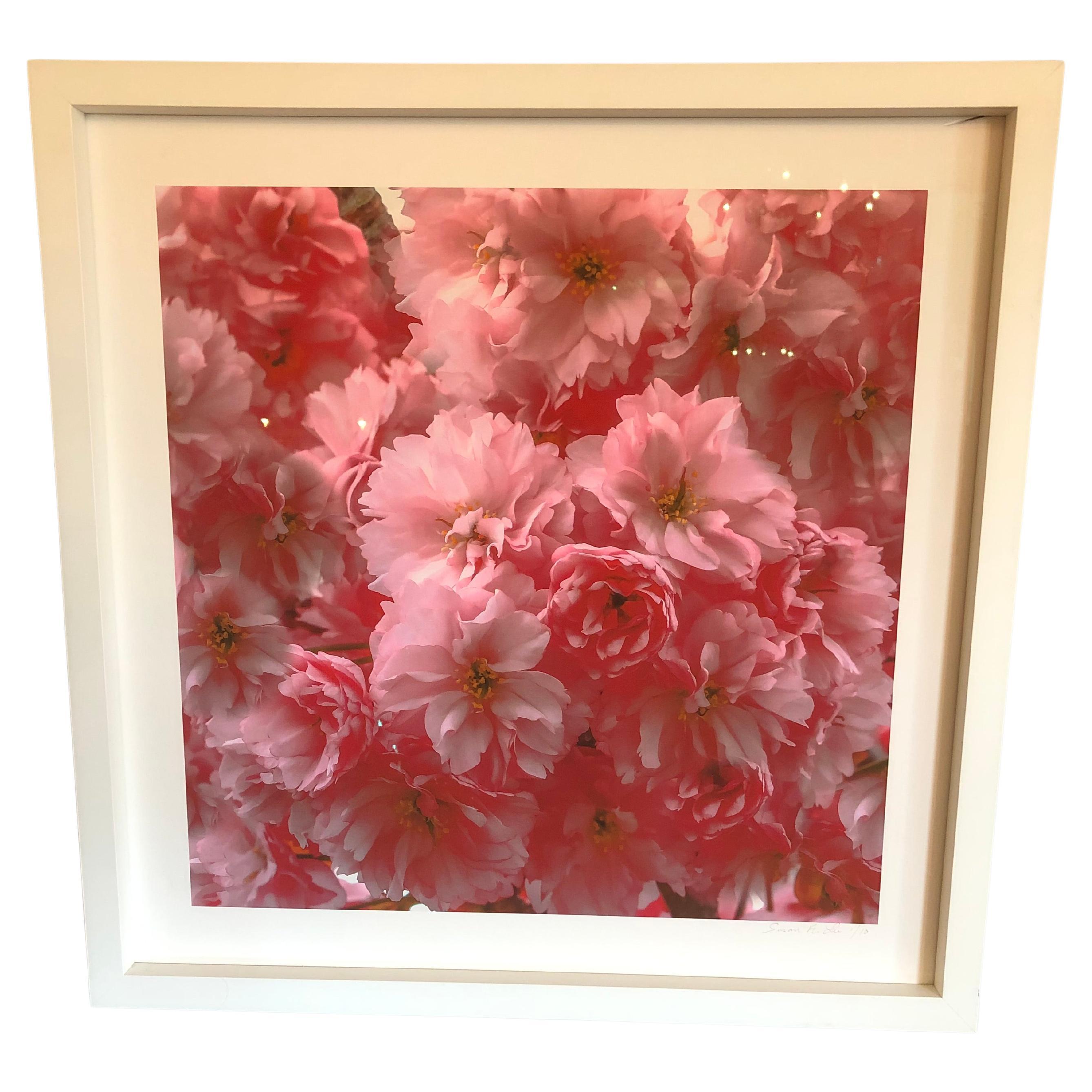 Fragrant Limited Edition High Rez Art Photograph of Cherry Blossoms