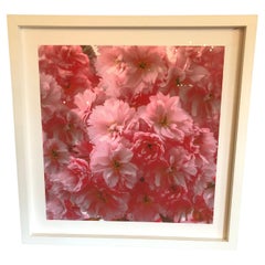 Granat Limited Edition High Rez-Kunstfotografie von Kirschenblüten in limitierter Auflage