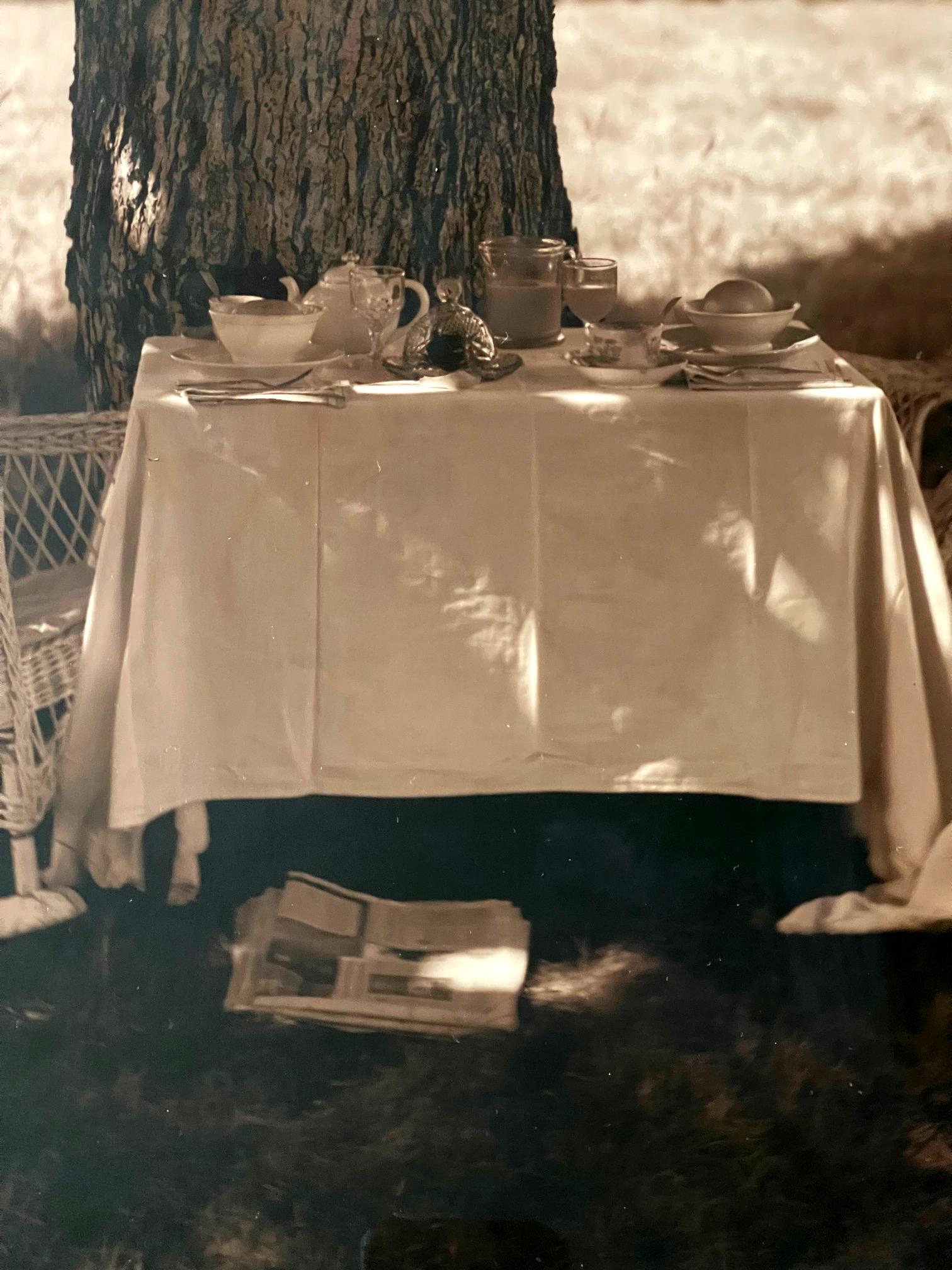Fin du 20e siècle Photographie encadrée « Shady Breakfast » de John Patrick Dugdale en vente