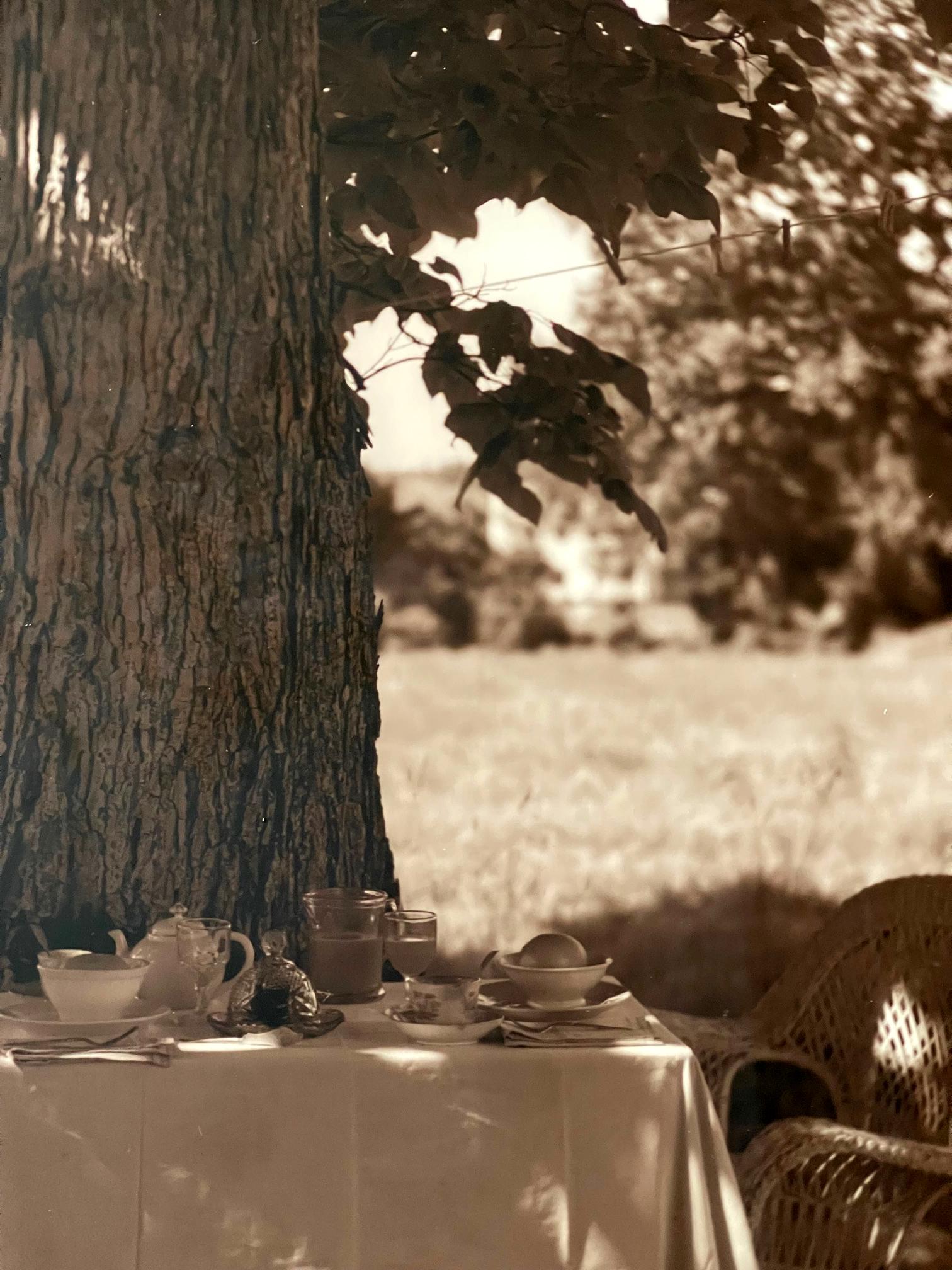 Late 20th Century Frame Photograph Shady Breakfast by John Patrick Dugdale For Sale