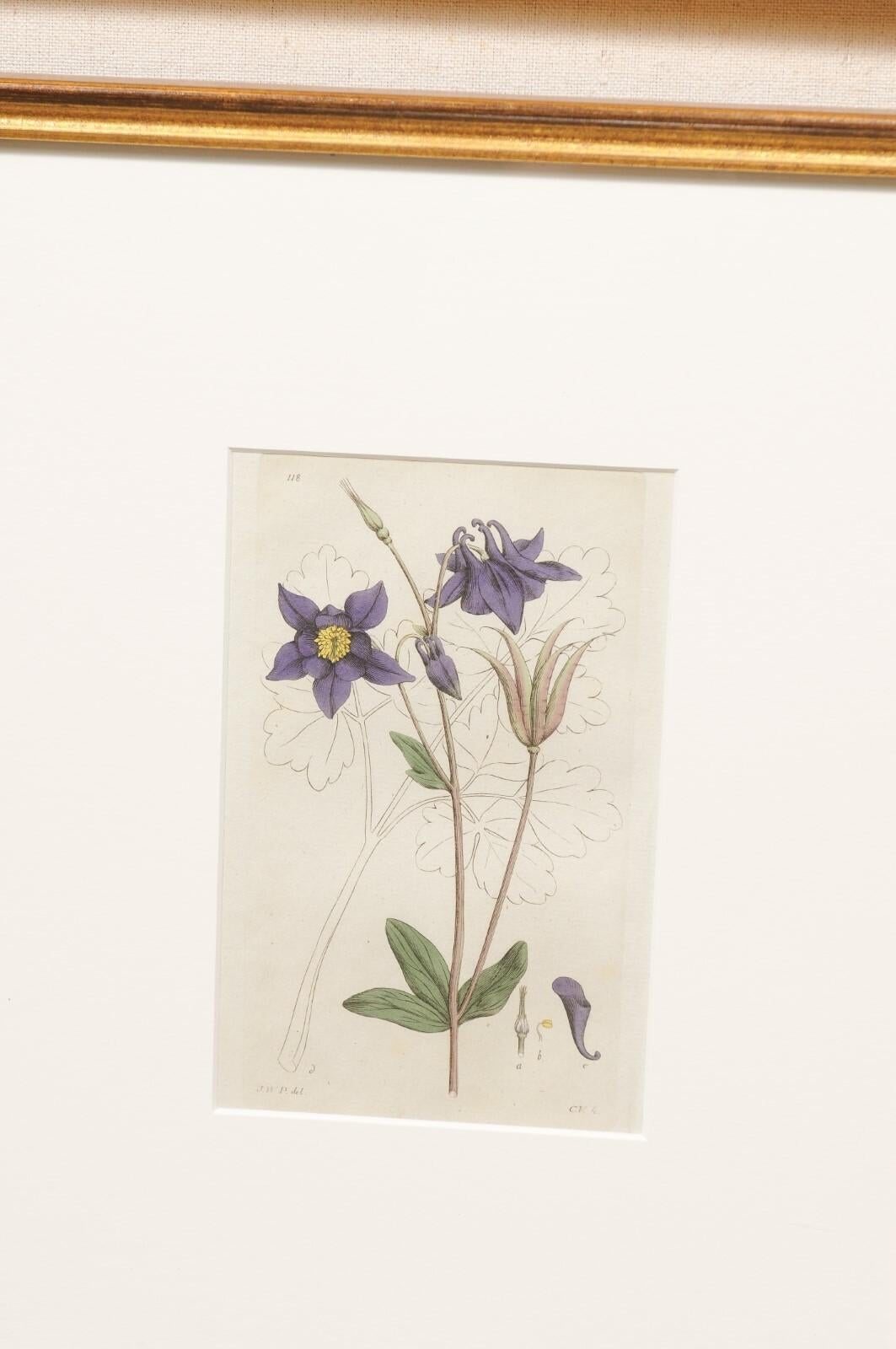 Framed 18th C. Swedish Botanical Engravings, Set of 4 For Sale 6