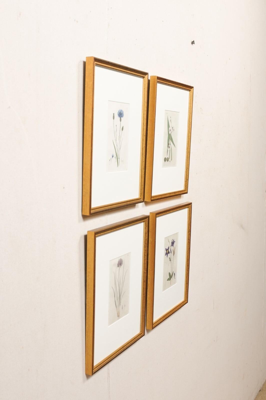 Framed 18th C. Swedish Botanical Engravings, Set of 4 For Sale 4