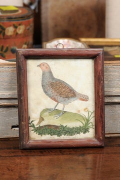 Framed 18th Century Bird Engraving Depicting a Grey Partridge, France