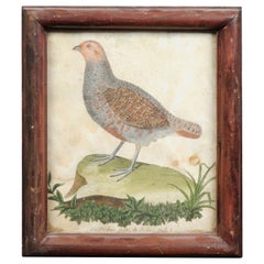 Framed 18th Century Bird Engraving Depicting a Grey Partridge, France