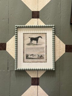 Framed 18th Century Comte de Buffon Engraving of ‘English Horses’