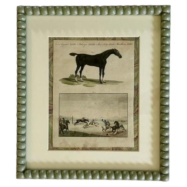 Framed 18th Century Comte de Buffon Engraving of ‘English Horses’ For Sale