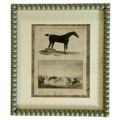 Framed 18th Century Comte de Buffon Engraving of ‘English Horses’