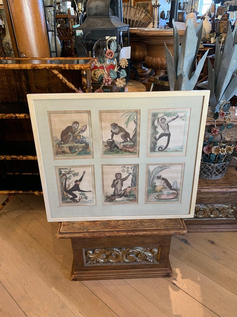 Framed 18th Century French Monkey Engravings by Georges-Louis Leclerc ...