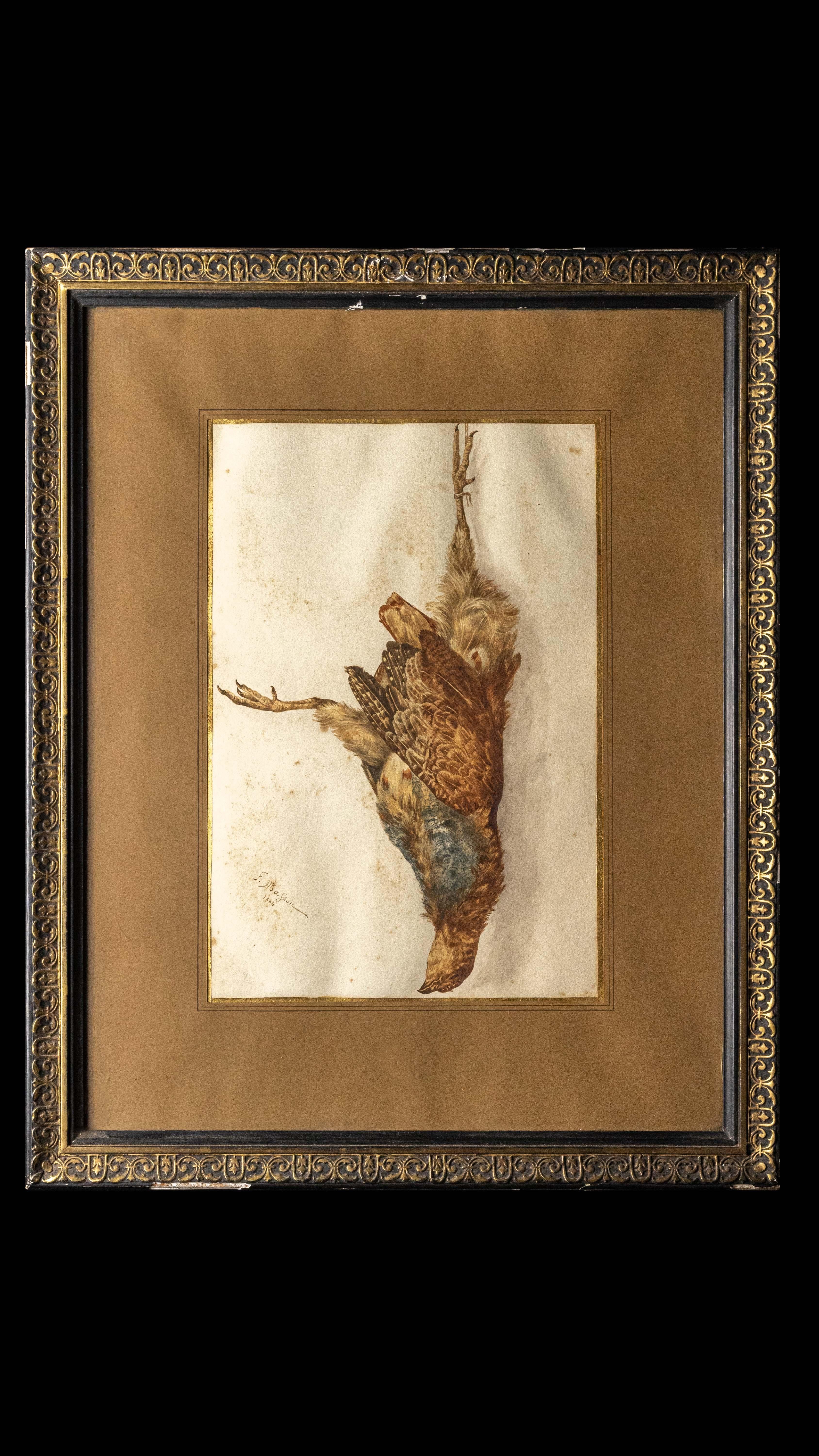 Gerahmte Gouche eines verstorbenen Vogels aus dem 19. Jahrhundert, signiert Frederic Masson:

Maße: 16.5