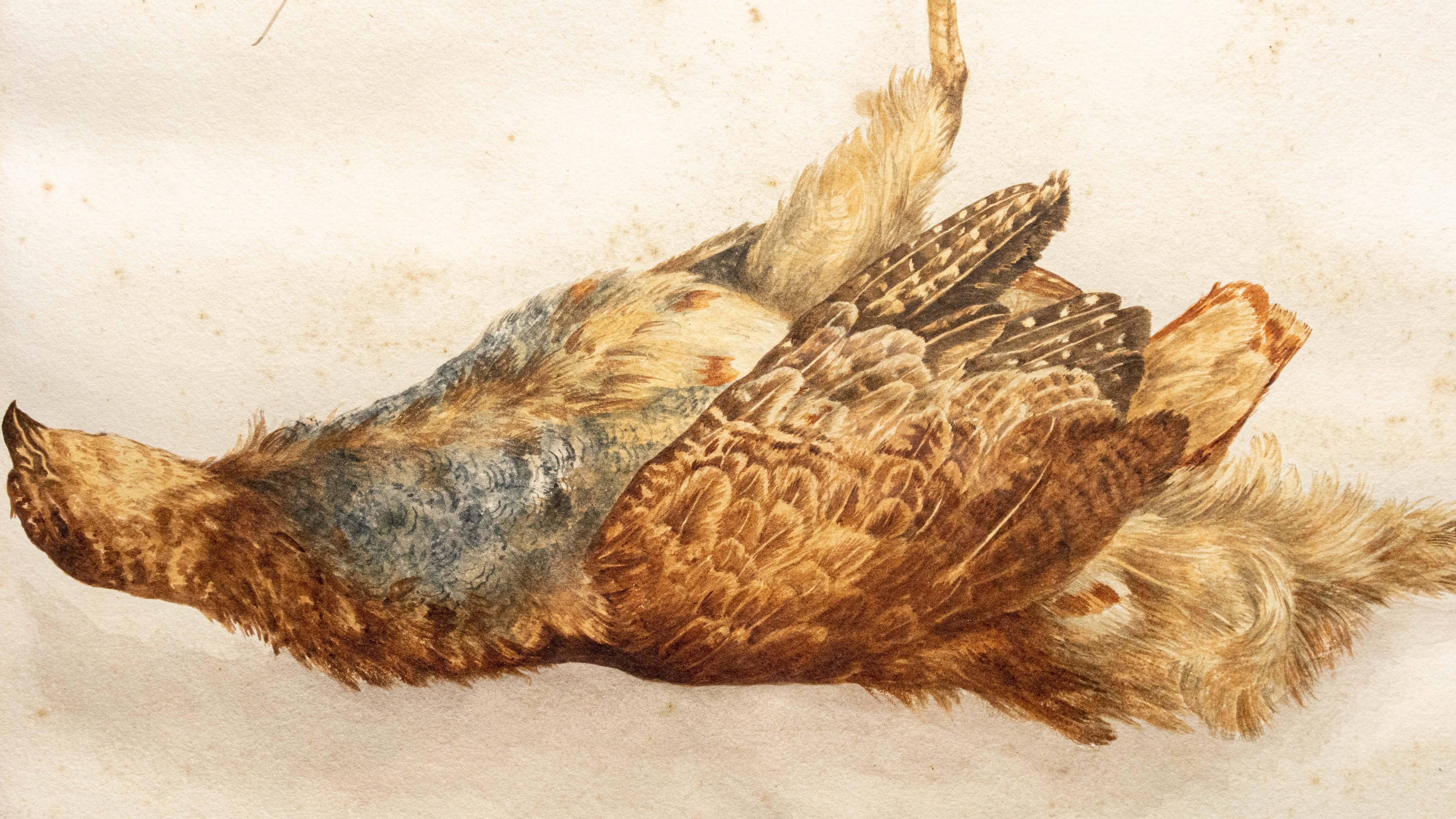 Gerahmte Gouache eines Vogels aus dem 19. Jahrhundert, signiert Frederic Masson (Handbemalt) im Angebot
