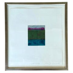 Framed Abstract Color Study Monotype Print