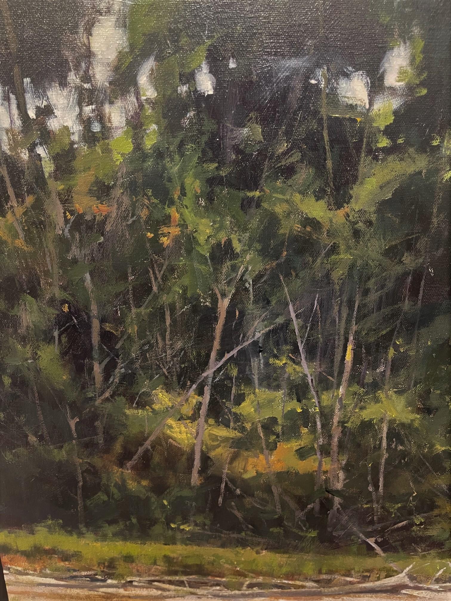 marc hanson paintings